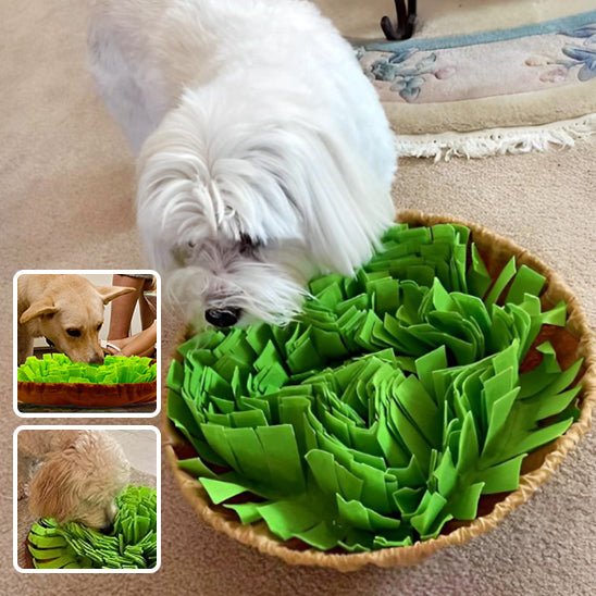 Tapis de fouille - CaniDétect - Dognpuppytoys