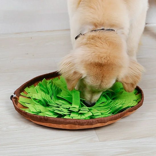 Tapis de fouille - CaniDétect - Dognpuppytoys