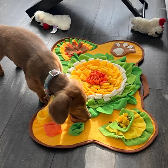 tapis de fouille chien - stimulez l'intelligence de votre chien - Dognpuppytoys