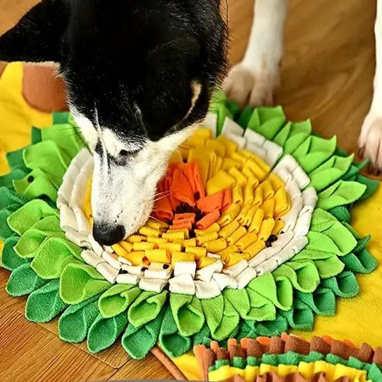 tapis de fouille chien - stimulez l'intelligence de votre chien - Dognpuppytoys