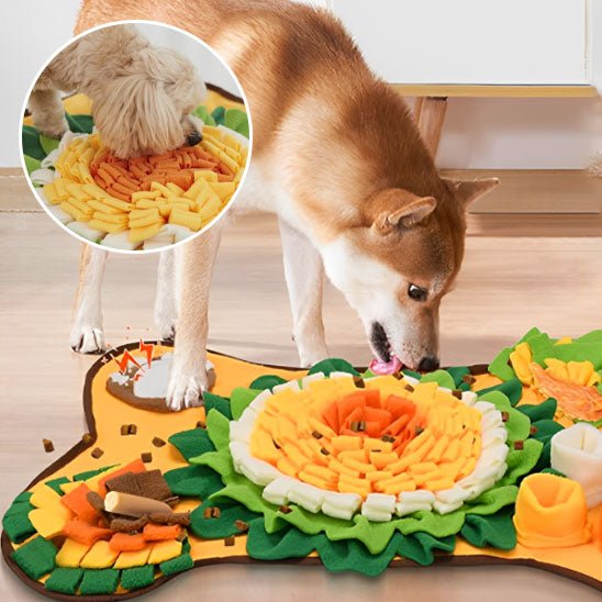 tapis de fouille chien - stimulez l'intelligence de votre chien - Dognpuppytoys