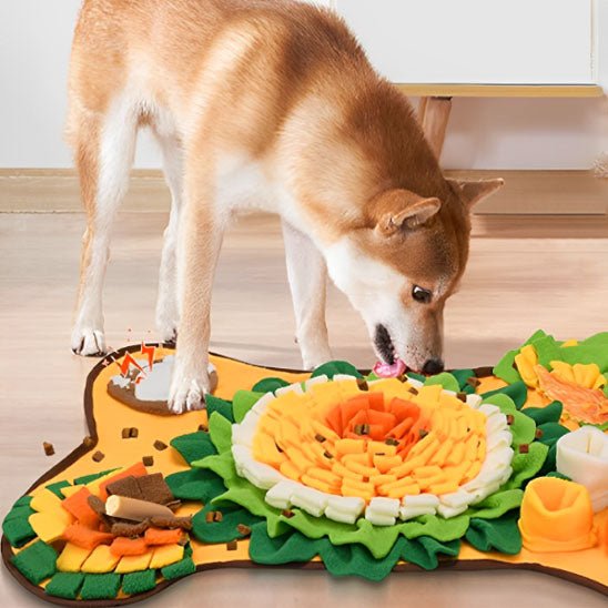 tapis de fouille chien - stimulez l'intelligence de votre chien - Dognpuppytoys