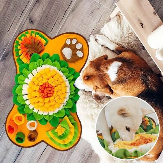 tapis de fouille chien - stimulez l'intelligence de votre chien - Dognpuppytoys
