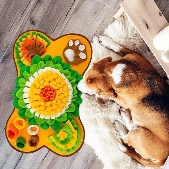 tapis de fouille chien - stimulez l'intelligence de votre chien - Dognpuppytoys