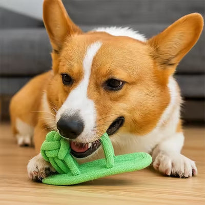 jouet pour chien minitong corde anti stress