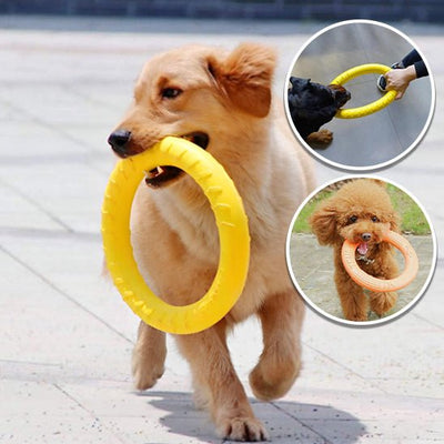 Jouet pour Chien Indestructible - Dognpuppytoys