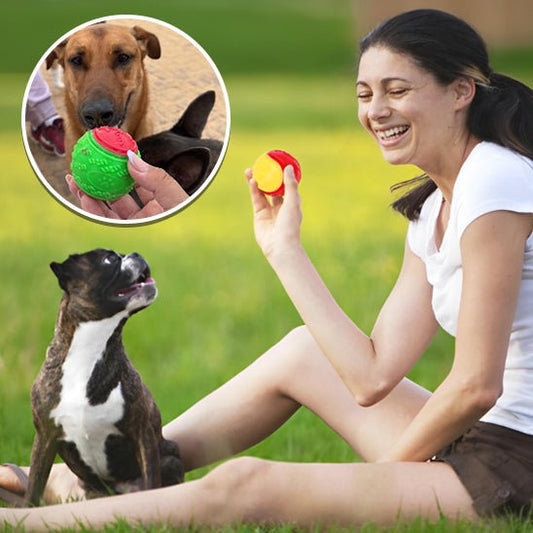 Balle pour Chien | BounceBuddy - Dognpuppytoys
