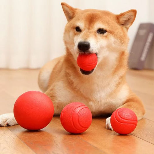 Balle pour chien - Le jouet indestructible - Dognpuppytoys