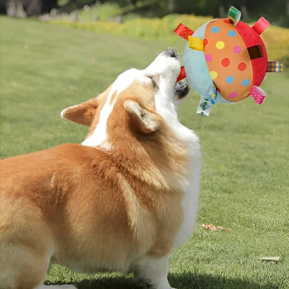 Balle pour chien pawroll - Dognpuppytoys