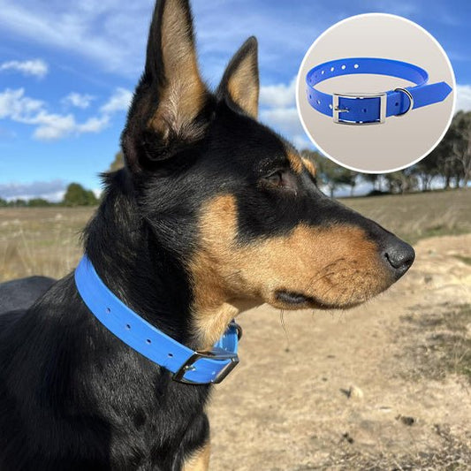 Collier chien - Qui brave la pluie, la boue et le temps - Dognpuppytoys