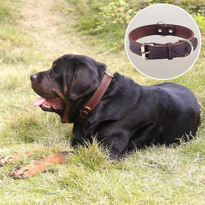 Collier cuir chien | CuirRustik™ - Dognpuppytoys
