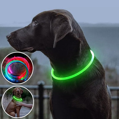collier lumineux chien | LumiWoof™ - Dognpuppytoys
