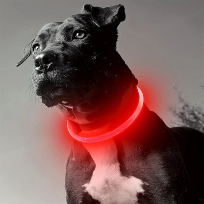 collier lumineux chien | LumiWoof™ - Dognpuppytoys