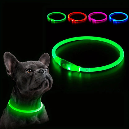 collier lumineux chien | LumiWoof™ - Dognpuppytoys
