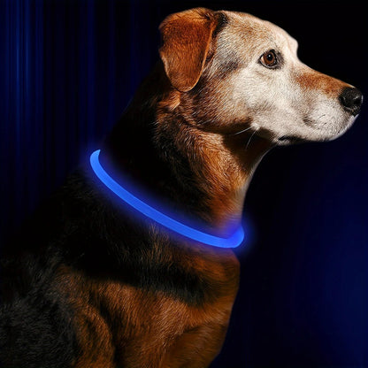 collier lumineux chien | LumiWoof™ - Dognpuppytoys