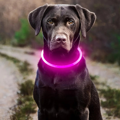 collier lumineux chien | LumiWoof™ - Dognpuppytoys
