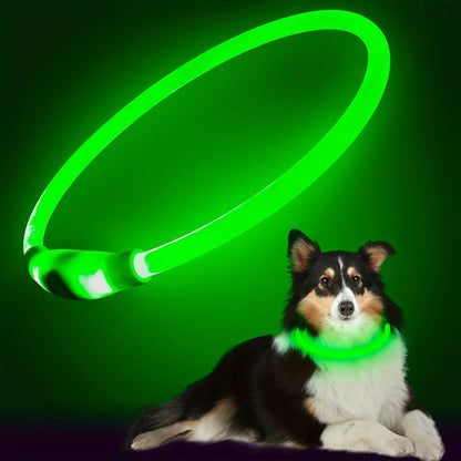 collier lumineux chien | LumiWoof™ - Dognpuppytoys