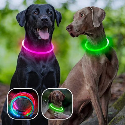 collier lumineux chien | LumiWoof™ - Dognpuppytoys
