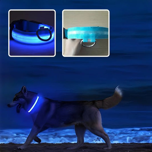 Collier lumineux chien WoofyLight™ | Sécurité, style & visibilité de nuit - Dognpuppytoys