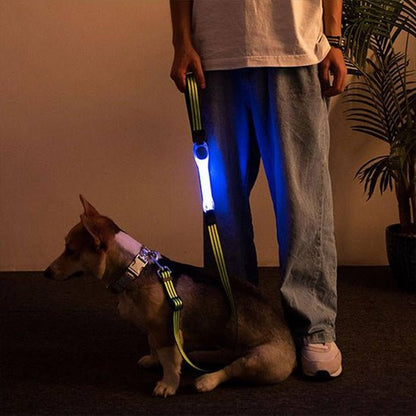 collier lumineux pour chien | HaloPaws™ - Dognpuppytoys