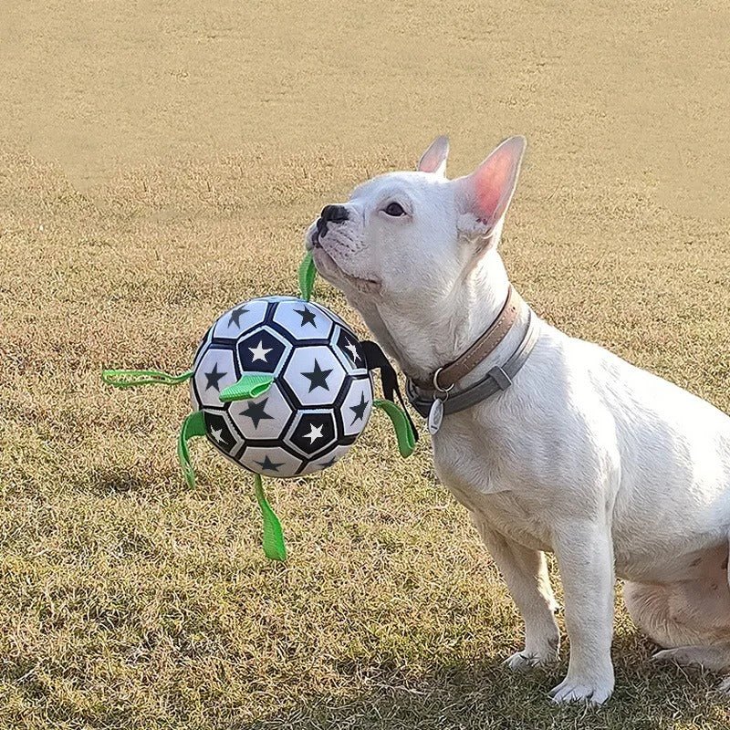 FootPaw™ | Ballon de foot pour chien - Dognpuppytoys