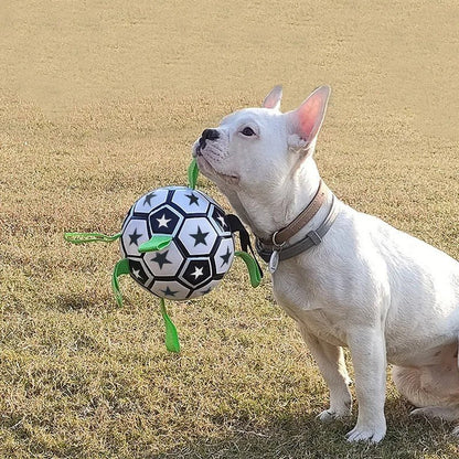 FootPaw™ | Ballon de foot pour chien - Dognpuppytoys