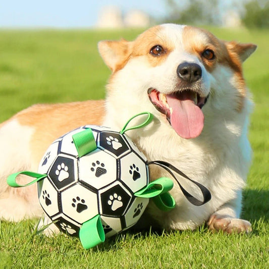 FootPaw™ | Ballon de foot pour chien - Dognpuppytoys