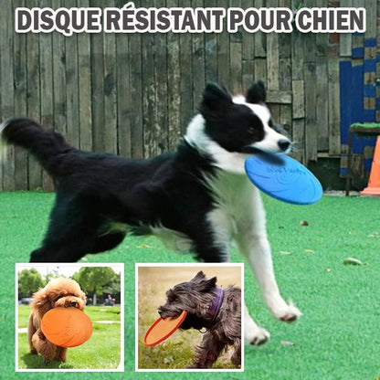frisbee chien | WoozyPaws™ - Dognpuppytoys