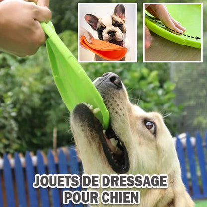 frisbee chien | WoozyPaws™ - Dognpuppytoys