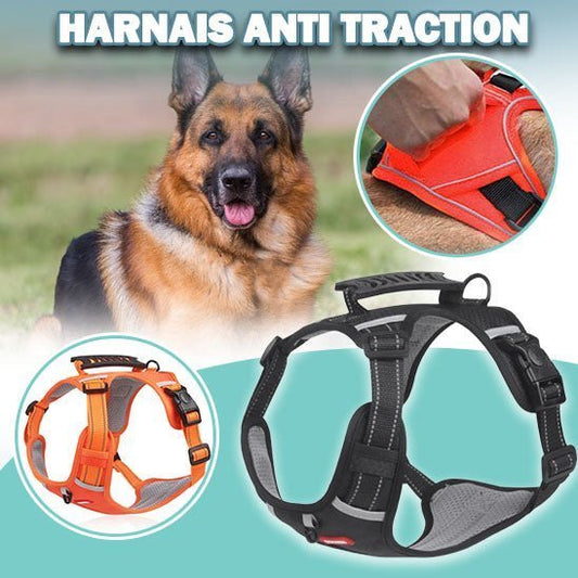 Harnais Anti traction | WalkSoft™ - Dognpuppytoys