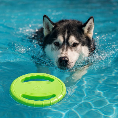 Jouet Chien Indestructible | Disque Flottant Résistant pour Mâcheurs Intensifs - Dognpuppytoys