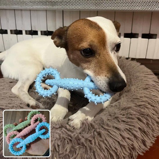 Jouet Chien Indestructible – Résistant, Sûr et Approuvé par les Mâcheurs - Dognpuppytoys