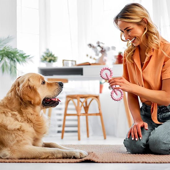 Jouet Chien Indestructible – Résistant, Sûr et Approuvé par les Mâcheurs - Dognpuppytoys
