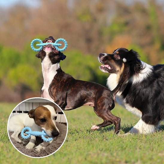 Jouet Chien Indestructible – Résistant, Sûr et Approuvé par les Mâcheurs - Dognpuppytoys