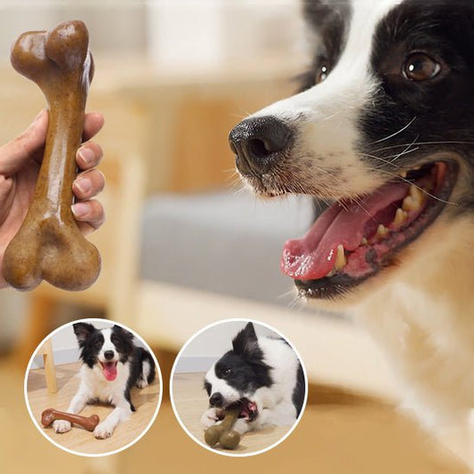 jouet indestructible pour chien - Bonedog™ - Dognpuppytoys
