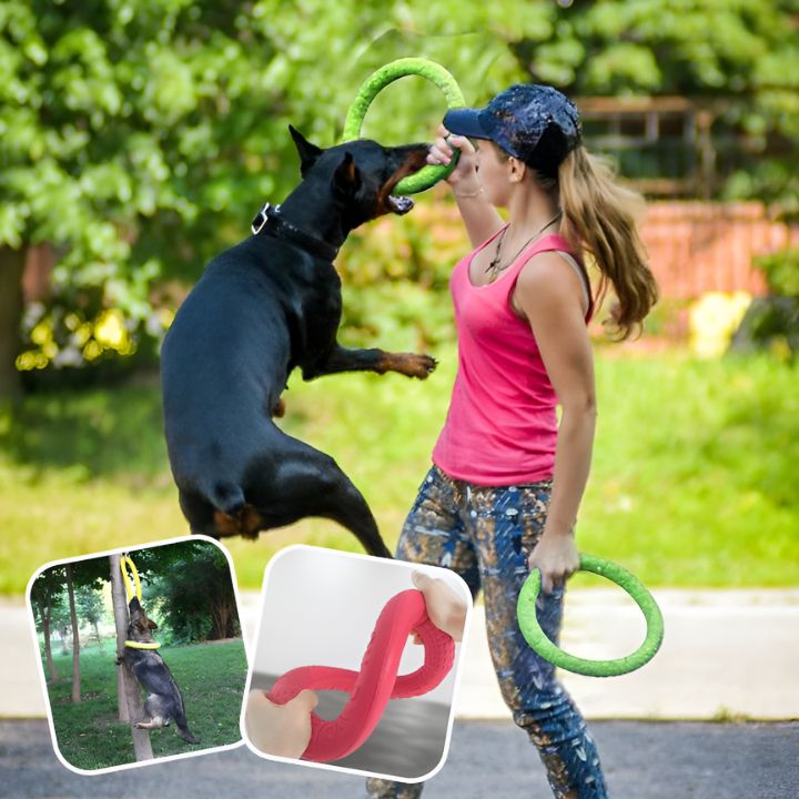 Jouet Indestructible pour Chien | DoggyGrip™ - Dognpuppytoys