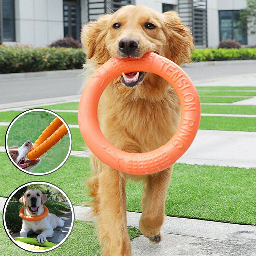 Jouet Indestructible pour Chien | DoggyGrip™ - Dognpuppytoys