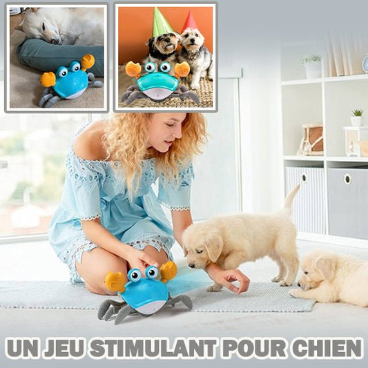 Jouet interactif chien | Mr.Krab™ - Dognpuppytoys