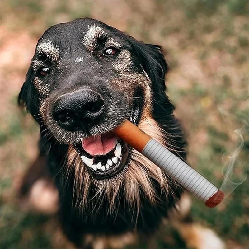 Jouet pour chien | Clope - à - Crocs - Dognpuppytoys