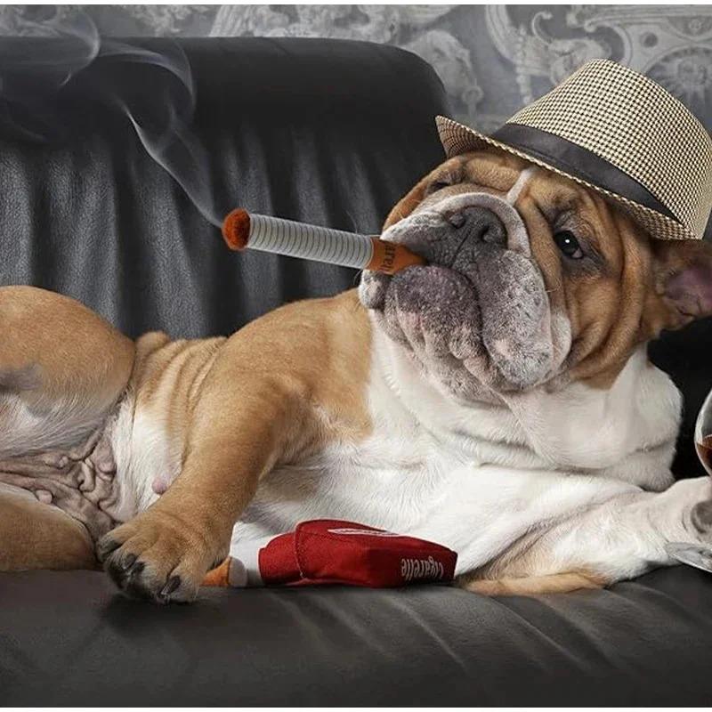 Jouet pour chien | Clope - à - Crocs - Dognpuppytoys