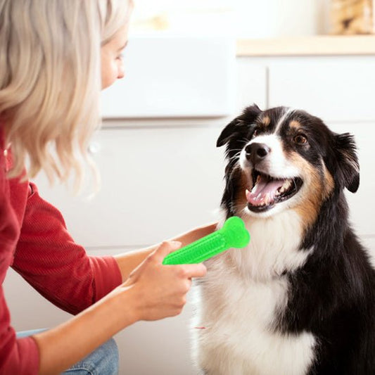 Jouet pour Chien Indestructible - Résistant, Sûr et Anti - Ennui - Dognpuppytoys