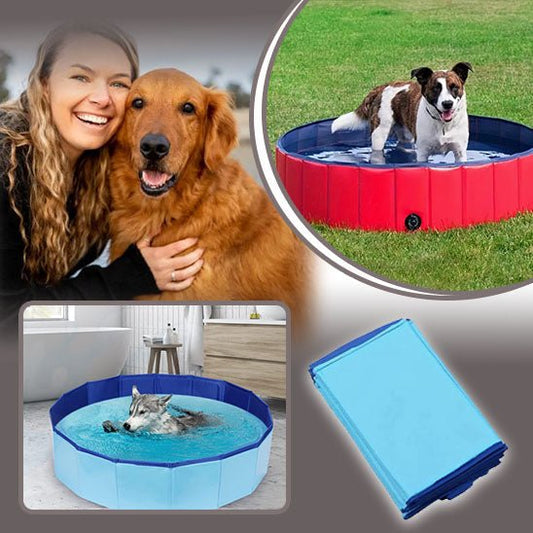 Paws Pool™ | Piscine rafraîchissante pour animaux - Dognpuppytoys