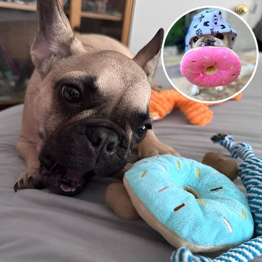 peluche chien | PawsDonut™ - Dognpuppytoys