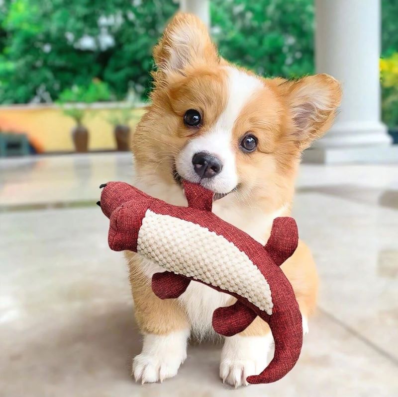 PELUCHE CROCODILE - Rouge
