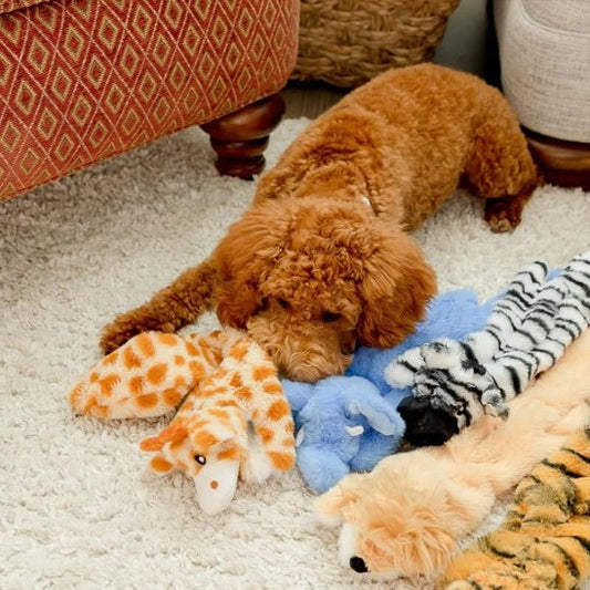 Peluche pour chien FunnyZoo™ – Jouet doux & résistant - Dognpuppytoys