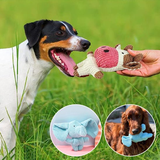 Peluche pour chien – Le compagnon apaisant qu’il attendait - Dognpuppytoys