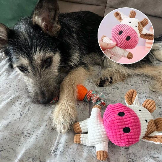 Peluche pour chien – Le compagnon apaisant qu’il attendait - Dognpuppytoys