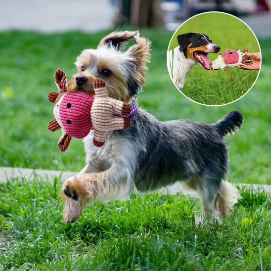 Peluche pour chien – Le compagnon apaisant qu’il attendait - Dognpuppytoys