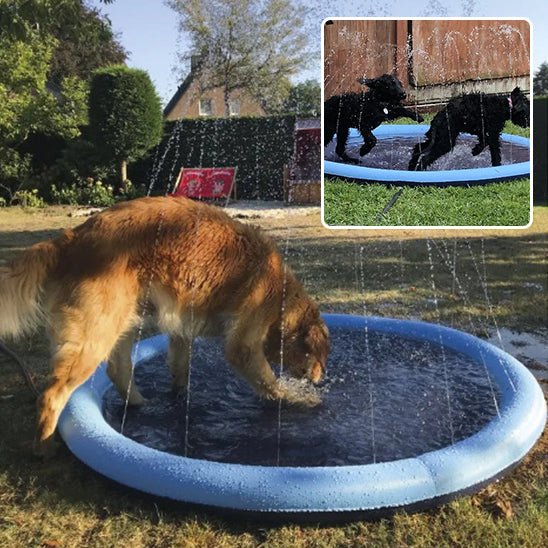 Piscine gonflable pour chien | DogSplash™ - Dognpuppytoys