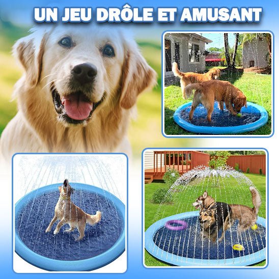 Deux chiens qui jouent dans une piscine pour chien avec jets d'eau en extérieur